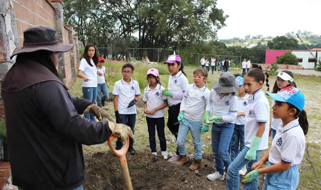 Los jóvenes escolares, los más atentos a las indicaciones para la siembra de árboles