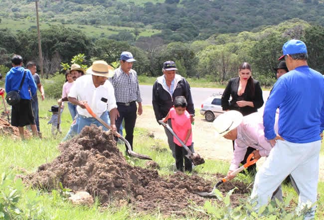 La zona de Chachapa también fue reforestada por sus habitantes