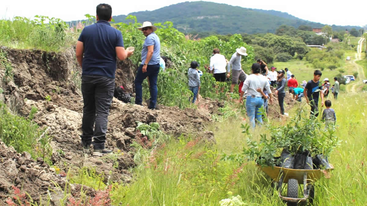 Cierra con éxito Campaña de Reforestación la Asociación Haras Flor del Bosque