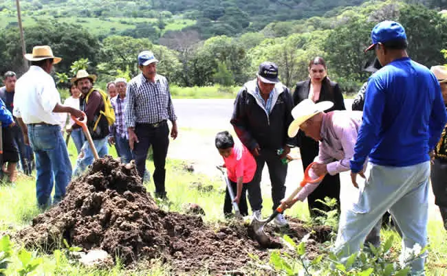 Gran participación de todos los comuneros en la siembra de árboles