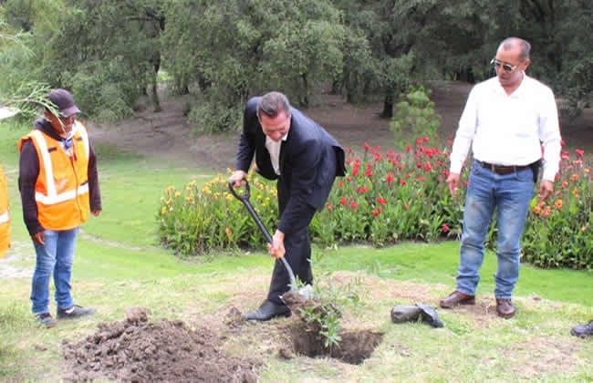 Con la siembra del primer ejemplar, inició la campaña de reforestación de Haras y Flor del Bosque