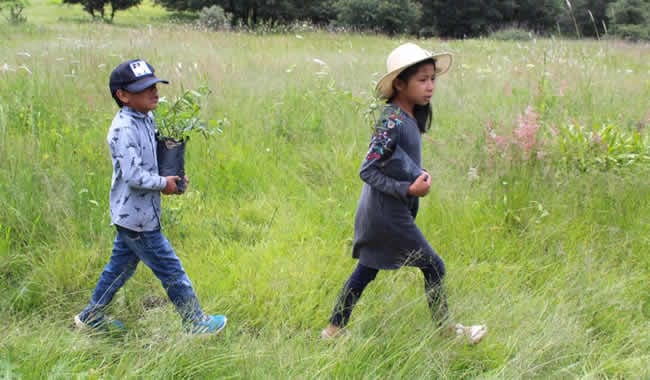 Un gran número de niños de diferentes colonias participaron en el plantado de nuevos árboles