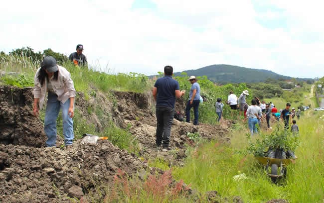 La zona donde se proyecta el nuevo Seminario continuará con los trabajos de reforestación