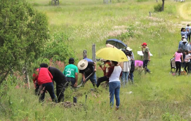 La zona requiere del sembrado de un gran número de especies arbóreas