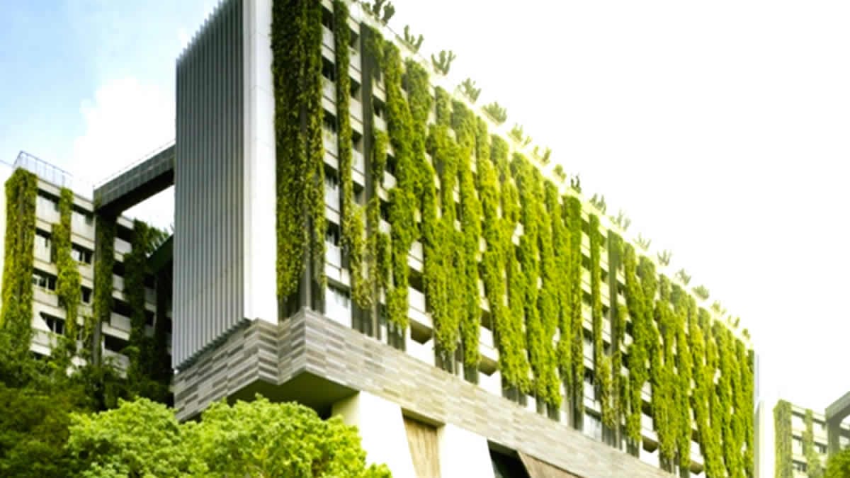 ¿Y si las ciudades se convirtieran en bosques habitados?