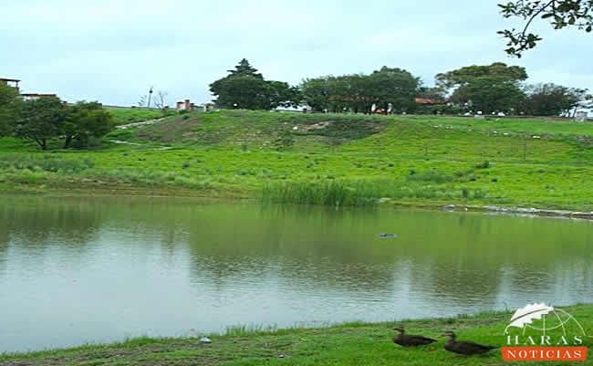 Imagen de El Lago fraccionamiento de Haras donde se encuentran estos ejemplares.
