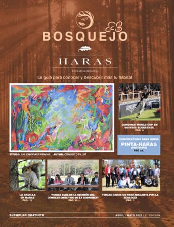 Bosquejo Haras Abril / Mayo 2022