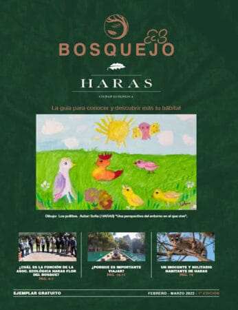 Bosquejo Haras Febrero / Marzo 2022