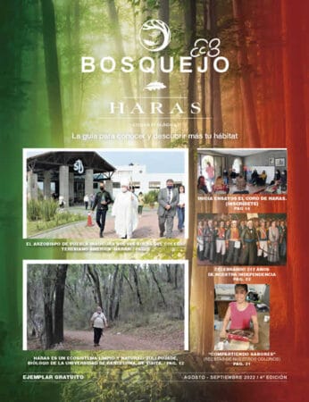 Bosquejo Haras Agosto / Septiembre 2022