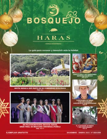 Bosquejo Haras Diciembre 2022 / Enero 2023