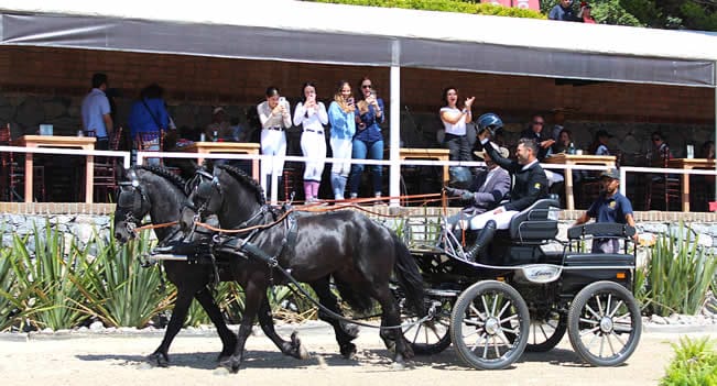 Rigoberto Aldana seleccionado guatemalteco ganador del Summer Tour 2024 en Haras