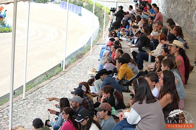 Familia de diferentes puntos de la república asistieron al Viva México Tour 2025