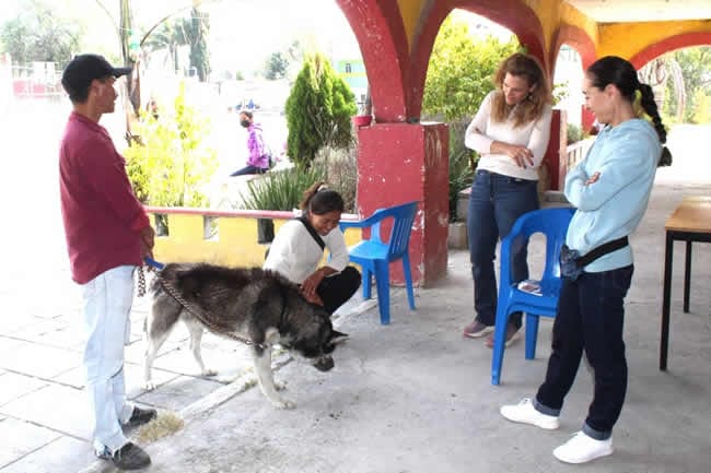 Los habitantes de Santa Cruz Alpuyeca también llevan a sus mascotas para asistirlas medicamente