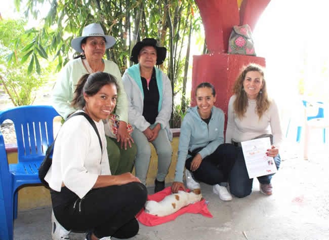 El perrito "Pompon" se recupera de su intervención quirúrgica