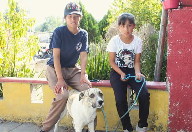 "Goody" esperando su turno para ser atendido