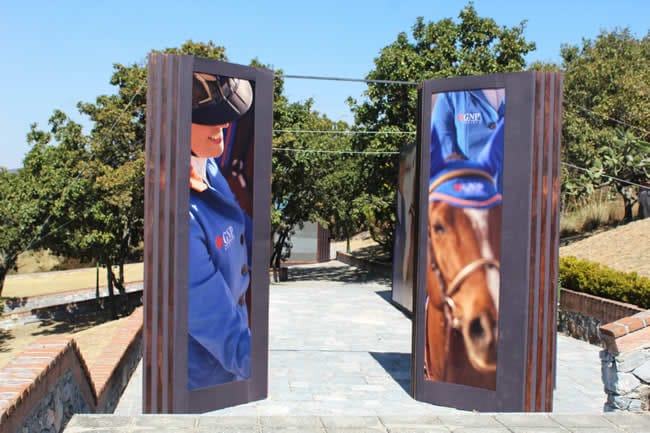 Muchas y diferentes amenidades se podrán encontrar en el Internacional de Salto en Haras