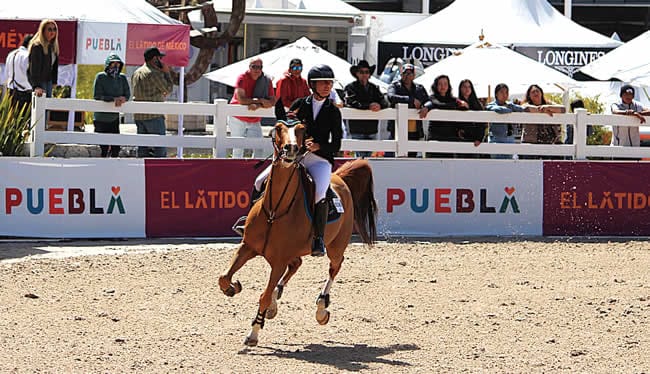 La jinete italiana Francesca Maggiore en su participación