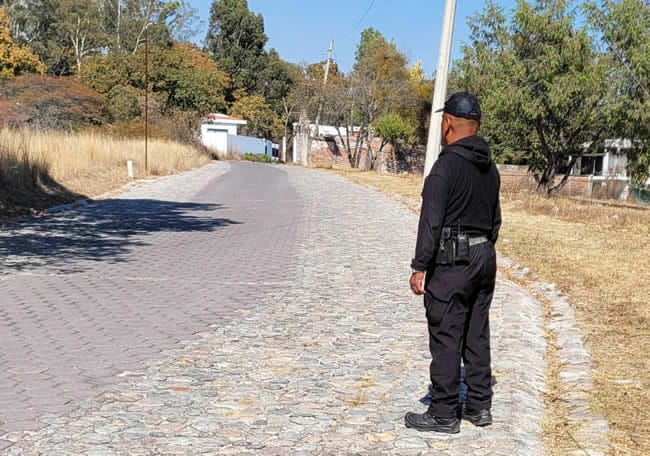 Si llegas a ver a un pecarí, la recomendación es evitarlos o acercarse a ellos.