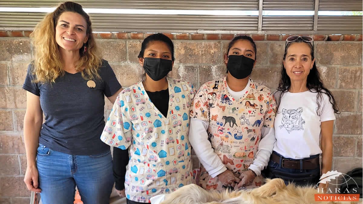 Molly y Georgina cumplen con éxito la Campaña de esterilización que organizaron en Haras.